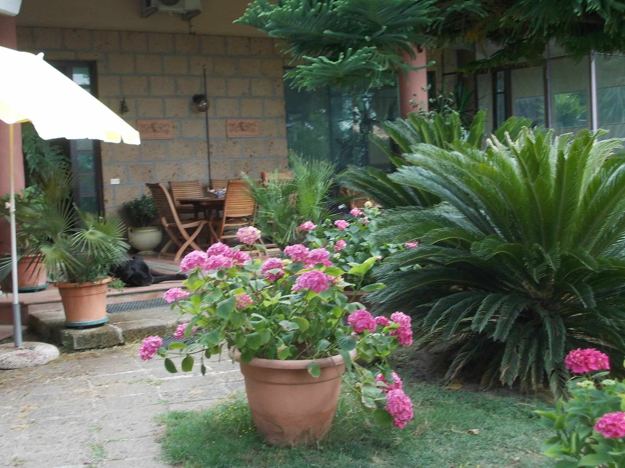 Bellavista Country House Pescara Exteriör bild